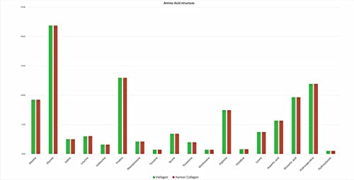 Vollagen® Advanced Vegan Collagen - 18 Amino Acid Complex in Ratio of Collagen Time Health