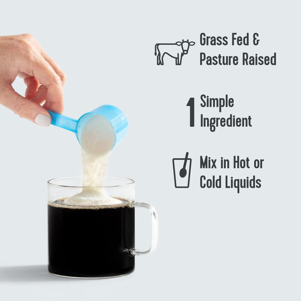 Vital Proteins Collagen Peptides Powder Supplement (Type I, III) - Hydrolyzed Collagen VITAL PROTEINS