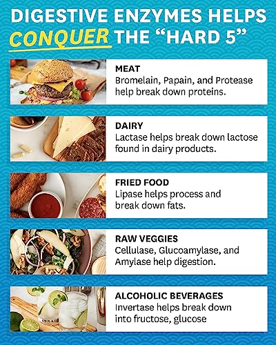 Zenwise Digestive Enzymes - Probiotic Multi Enzyme with Probiotics 180 Ct Zenwise Health