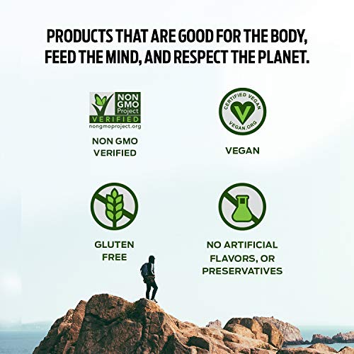 Vega Protein Made Simple, Dark Chocolate - Stevia Free Vegan Protein Powder Vega