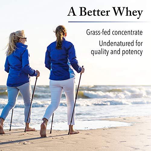 Whey Factors by Natural Factors, Grass Fed Whey Protein Concentrate, Aids Muscle Natural Factors