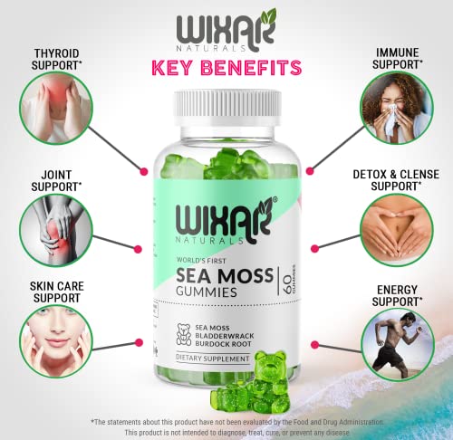 WIXAR NATURALS Sea Moss Gummies - Natural Irish Sea Moss and Bladderwrack WIXAR NATURALS