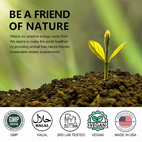 VEGEPOWER Keto Fast Diet Pills- Ketone Slim Pro 180 Capsules-Apple Cider Vinegar