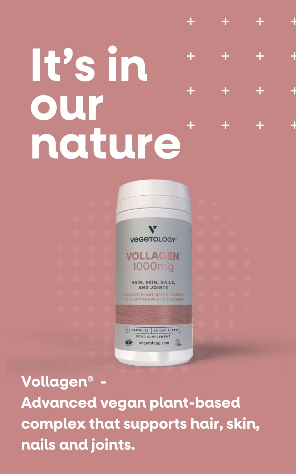 Vegetology Vollagen® Plant Based Complex – Plant Based Protein Alternative to Collagen VEGETOLOGY