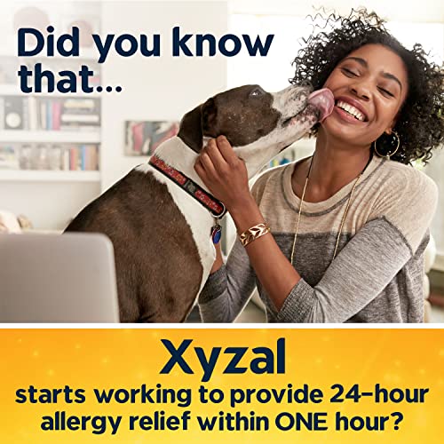 Xyzal Allergy Pills, 24-Hour Allergy Relief, 80-Count, Original Prescription Strength