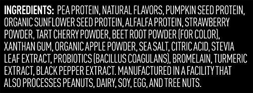 Vega Premium Sport Protein Berry Protein Powder, Vegan, Non GMO, Gluten Free Plant 