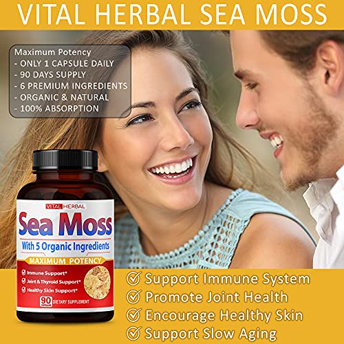 VITAL HERBAL Irish Sea Moss Capsules Equivalent to 5450mg - Maximum Potency VITAL HERBAL