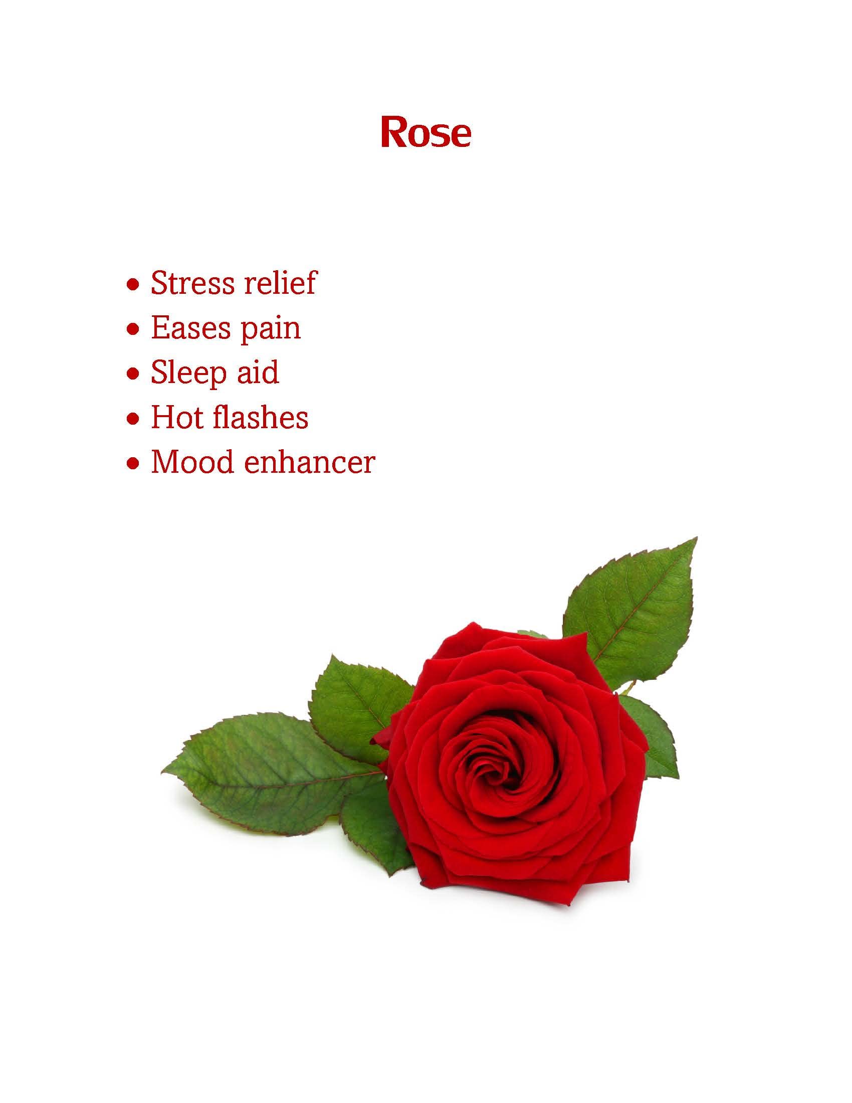 Acupressure Bracelets Stress Relief Rose Oil Infused for Sleep Issues, Menopause, Mood and Pain Acupressure Bracelets