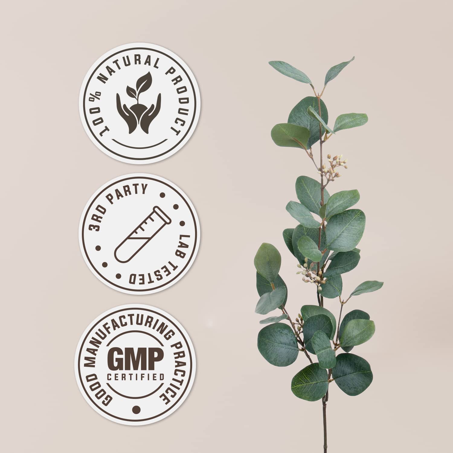 Wild Yam USDA Organic Alcohol-Free Extract | Dietary Supplement, High-Potency Tincture Garden Organics