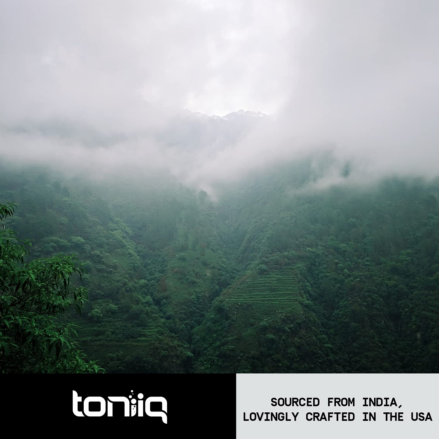 Toniiq 26,000mg 20x Concentrated Extract - 10% Withanolides - Ultra High Strength Toniiq