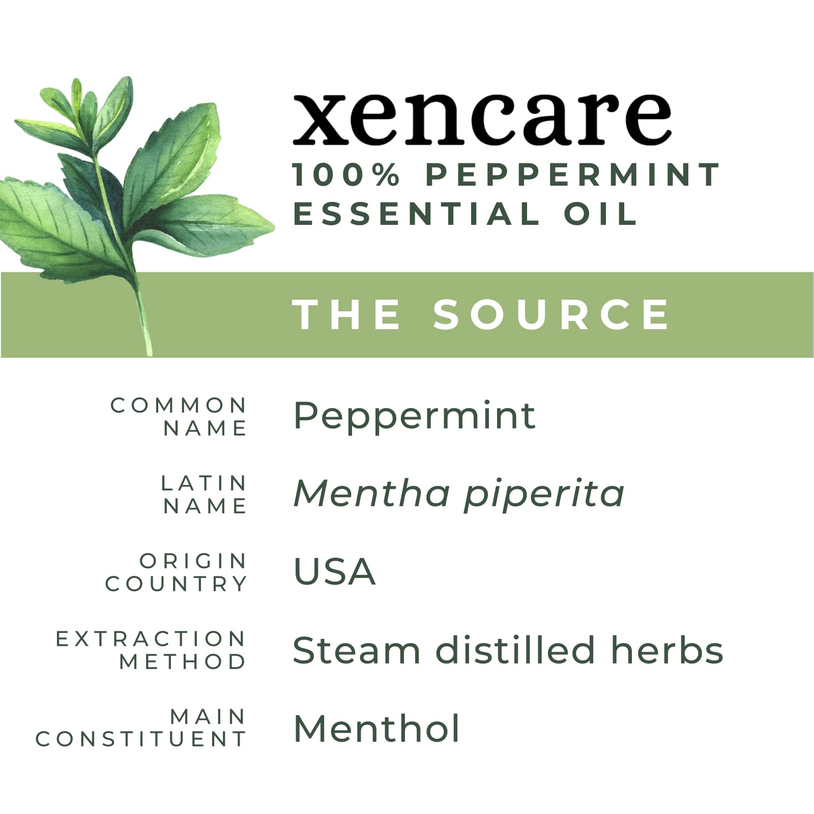 xencare Peppermint USDA Organic Food Grade Essential Oil | 100% Pure Natural Undiluted XenCare