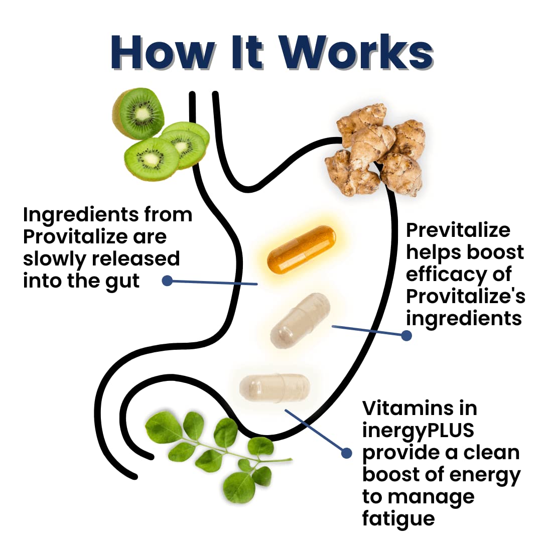 Better Body Co. Menokit Bundle - Natural Probiotic & Herbal Menopause Support - Includes Provitalize Better Body Co.