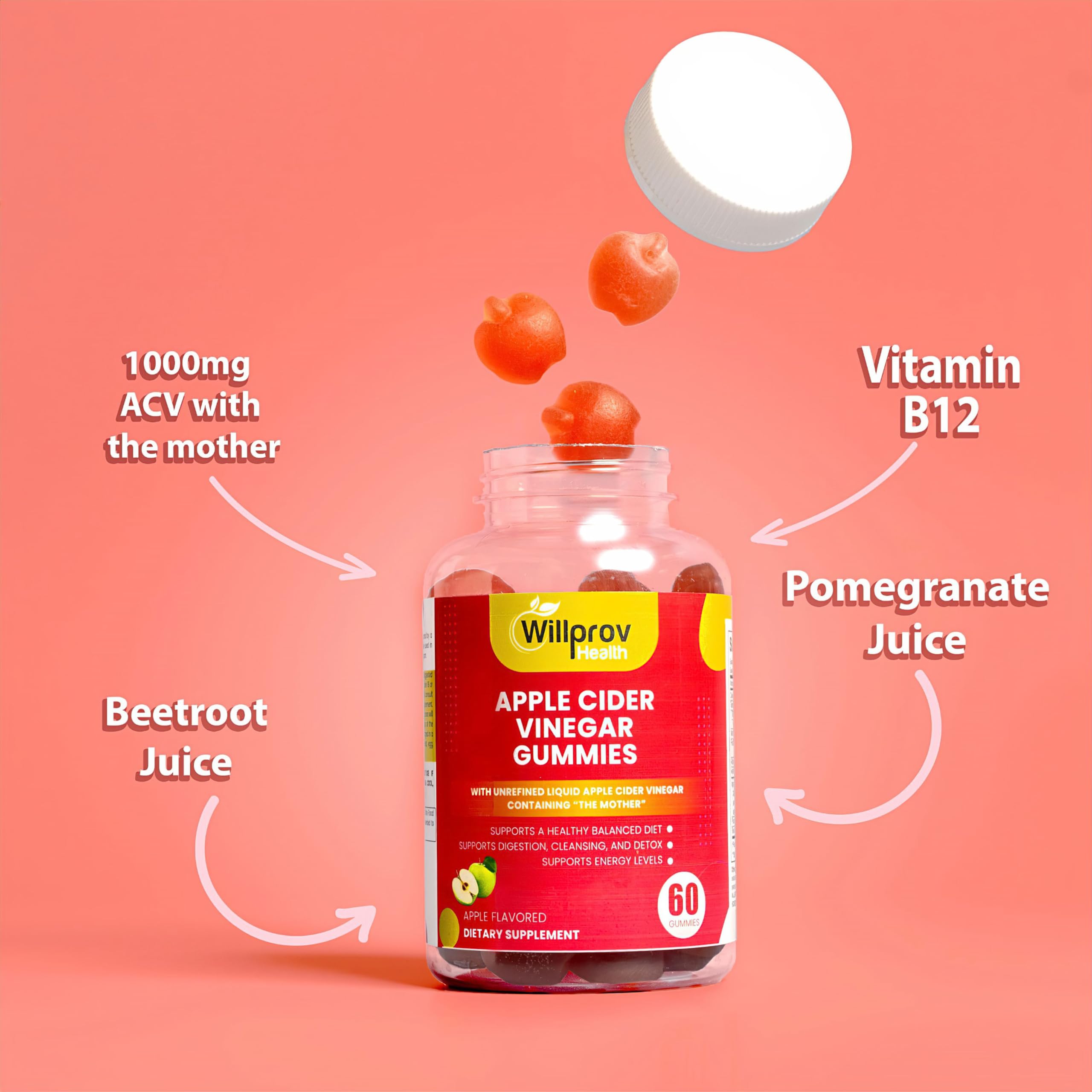 Willprov Health Apple Cider Vinegar Gummies - 1000mg ACV with Mother for Metabolism Willprov Health