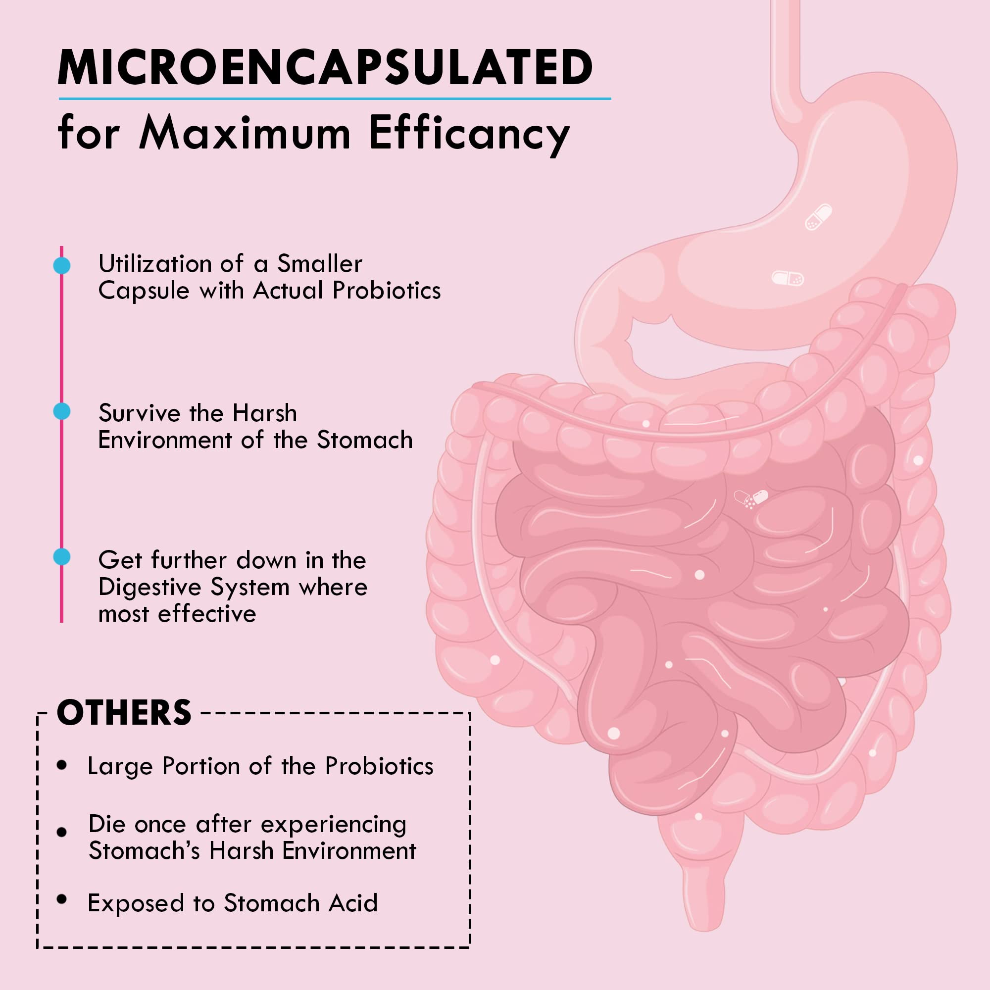 Zona Valley Belly Balance Woman 30 Capsules - Prebiotic and Microencapsulated probiotic Zona Valley