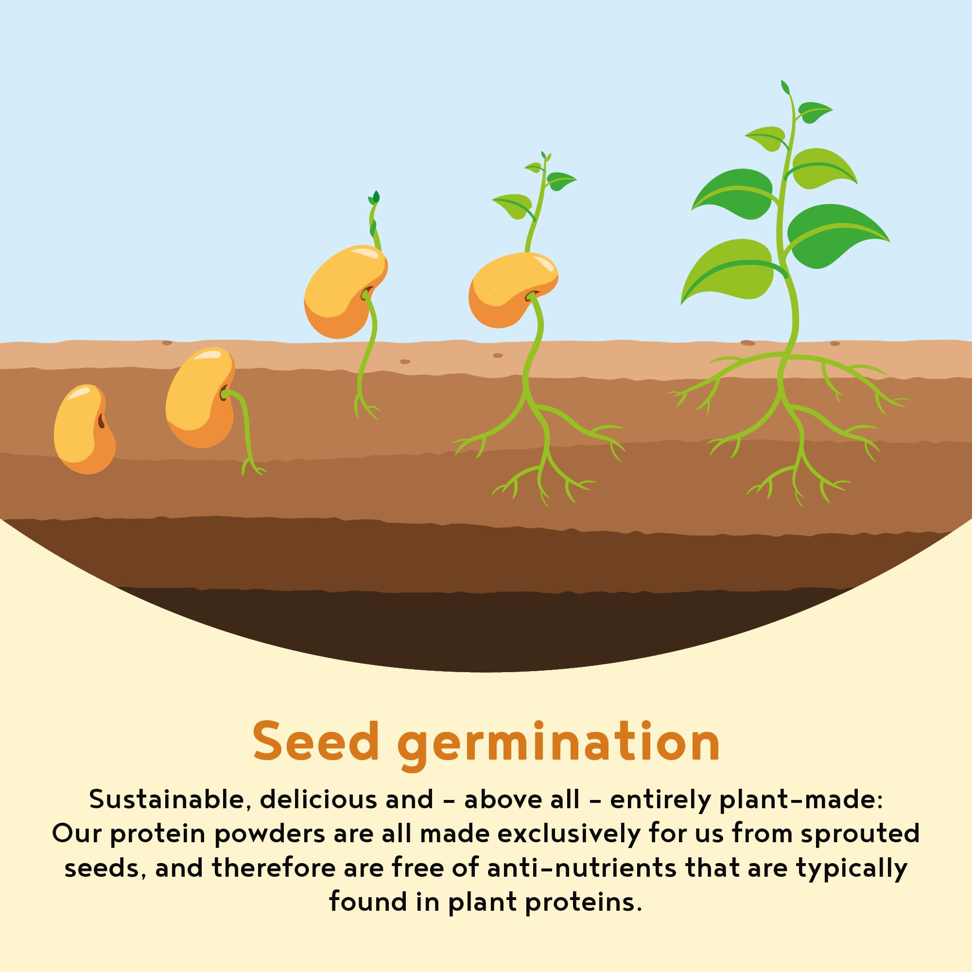 Vegan Protein Powder - Muscle Building Powder with Amino Acids - Plant Based Protein Shake Alpha Foods