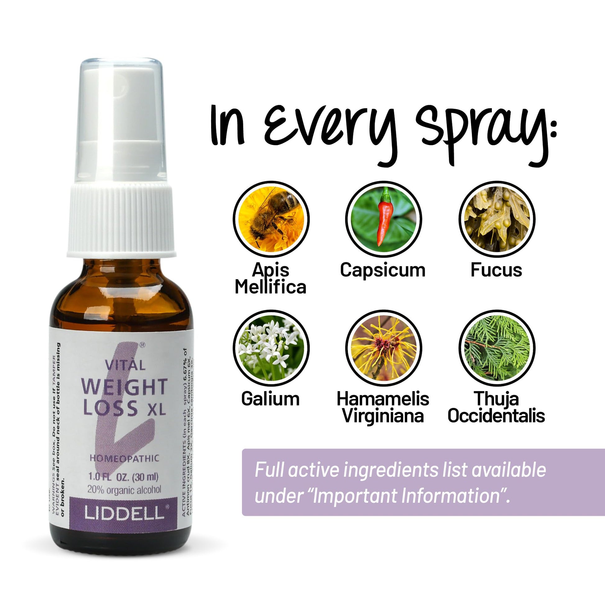 VITL Weight Loss XL Liddell Homeopathic 1 oz Liquid Liddell