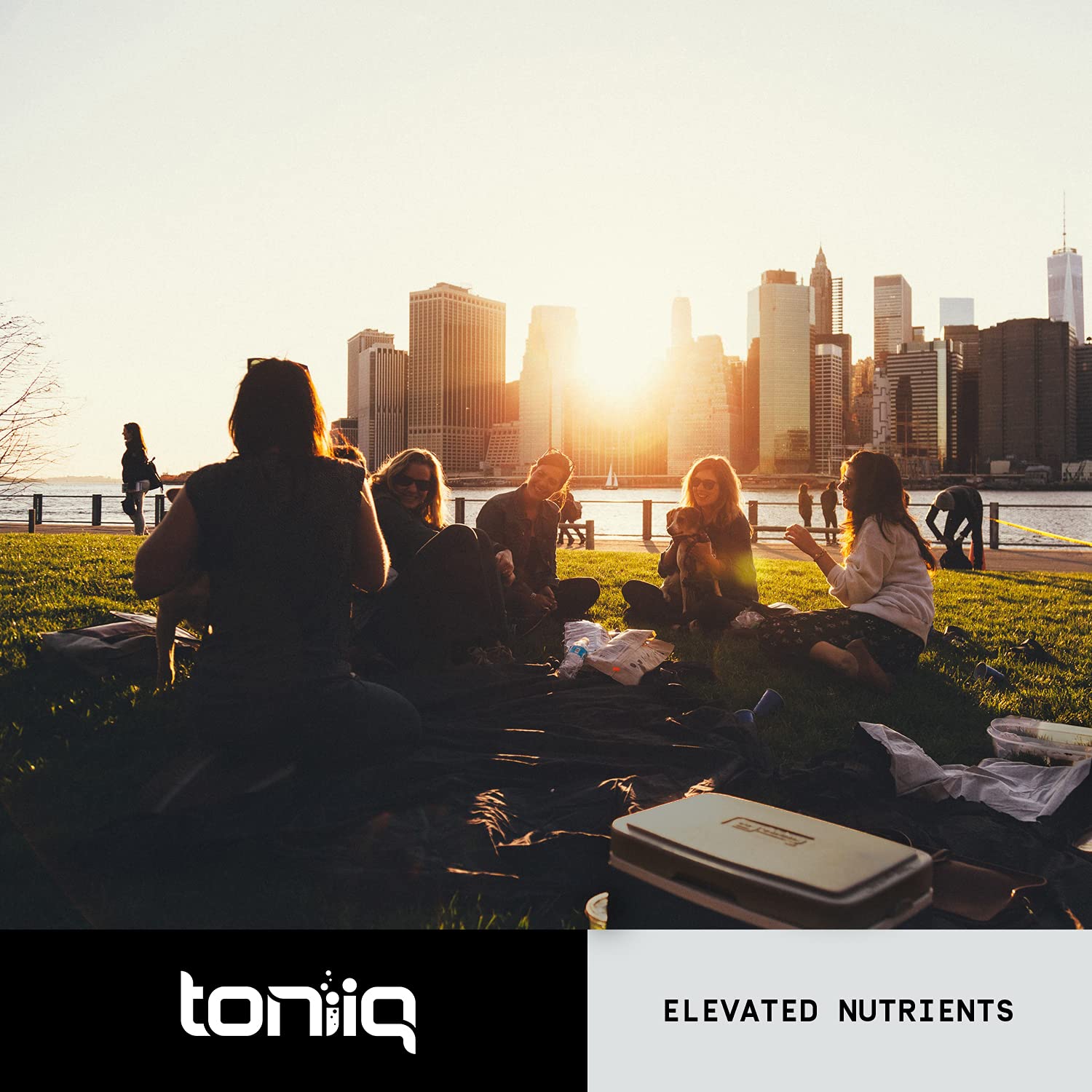 Toniiq Ultra High Strength Berberine HCl 500mg from The Himalayas - Berberine Suppleme Toniiq