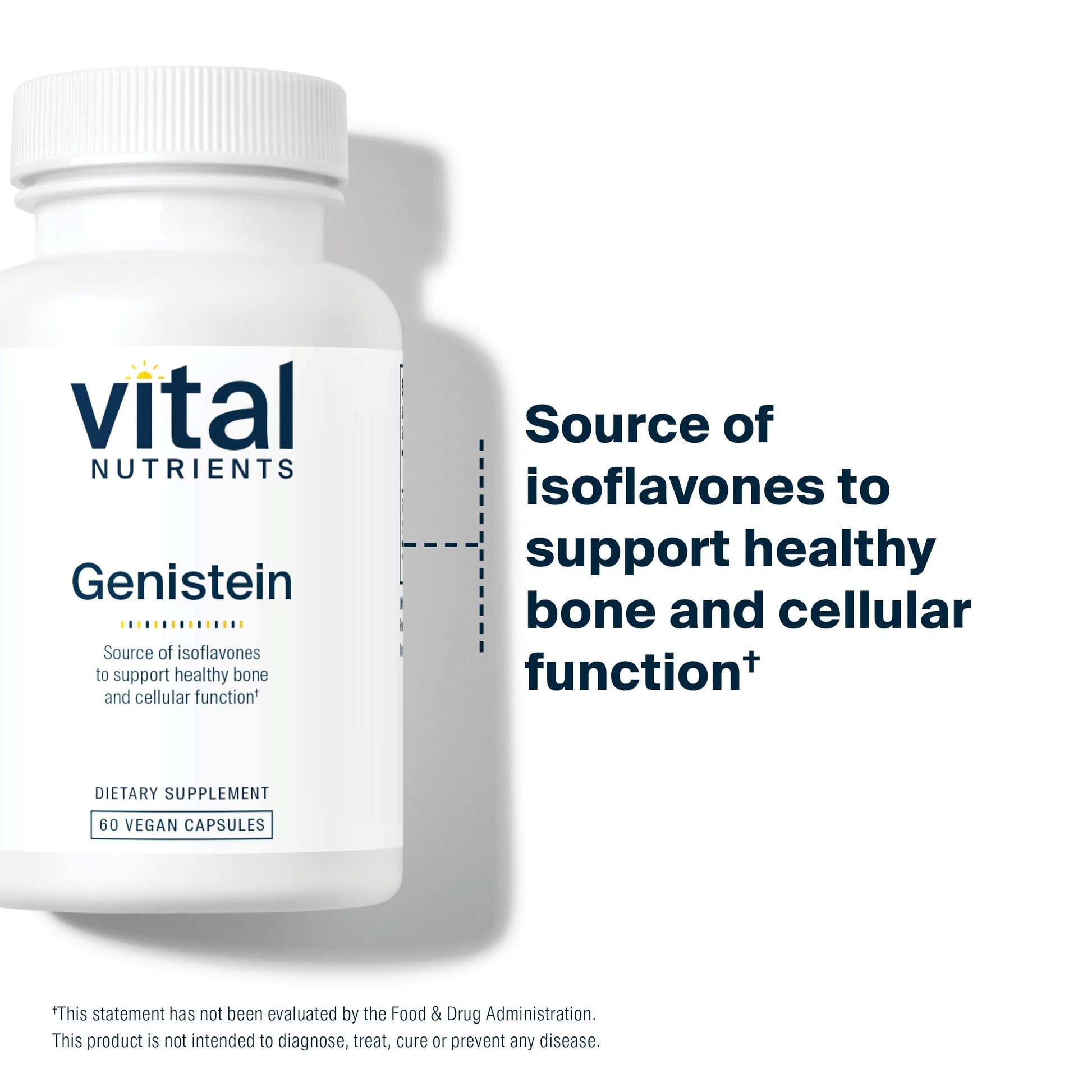 Vital Nutrients Genistein | Easily Absorbed Isoflavones for Bone Health Support Vital Nutrients