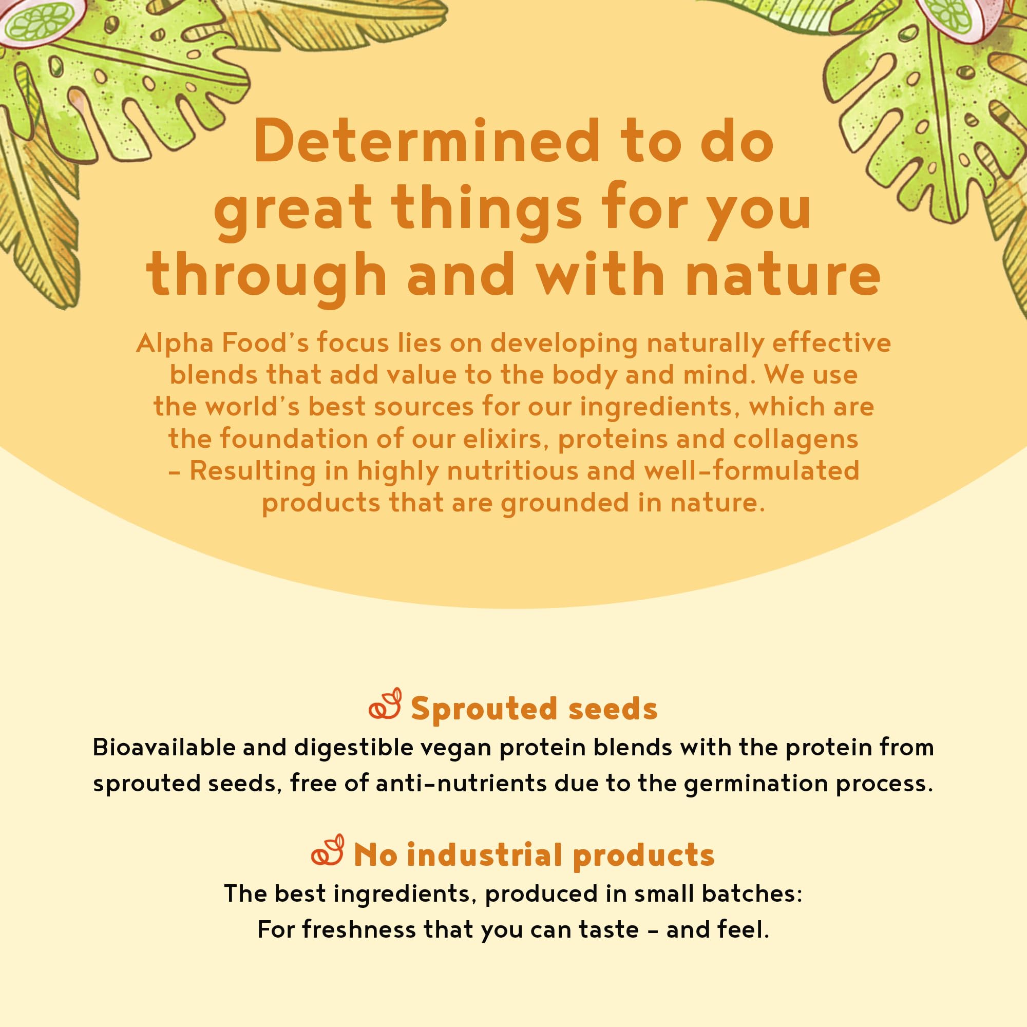 Vegan Protein Powder - Muscle Building Powder with Amino Acids - Plant Based Protein Shake Alpha Foods