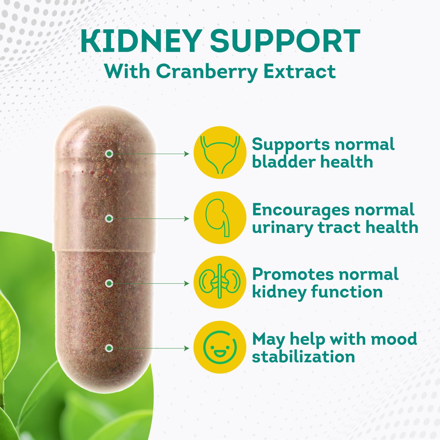 PurePremium Kidney Support Supplement with Cranberry Extract - Kidney Cleanse, Detox PurePremium Supplements