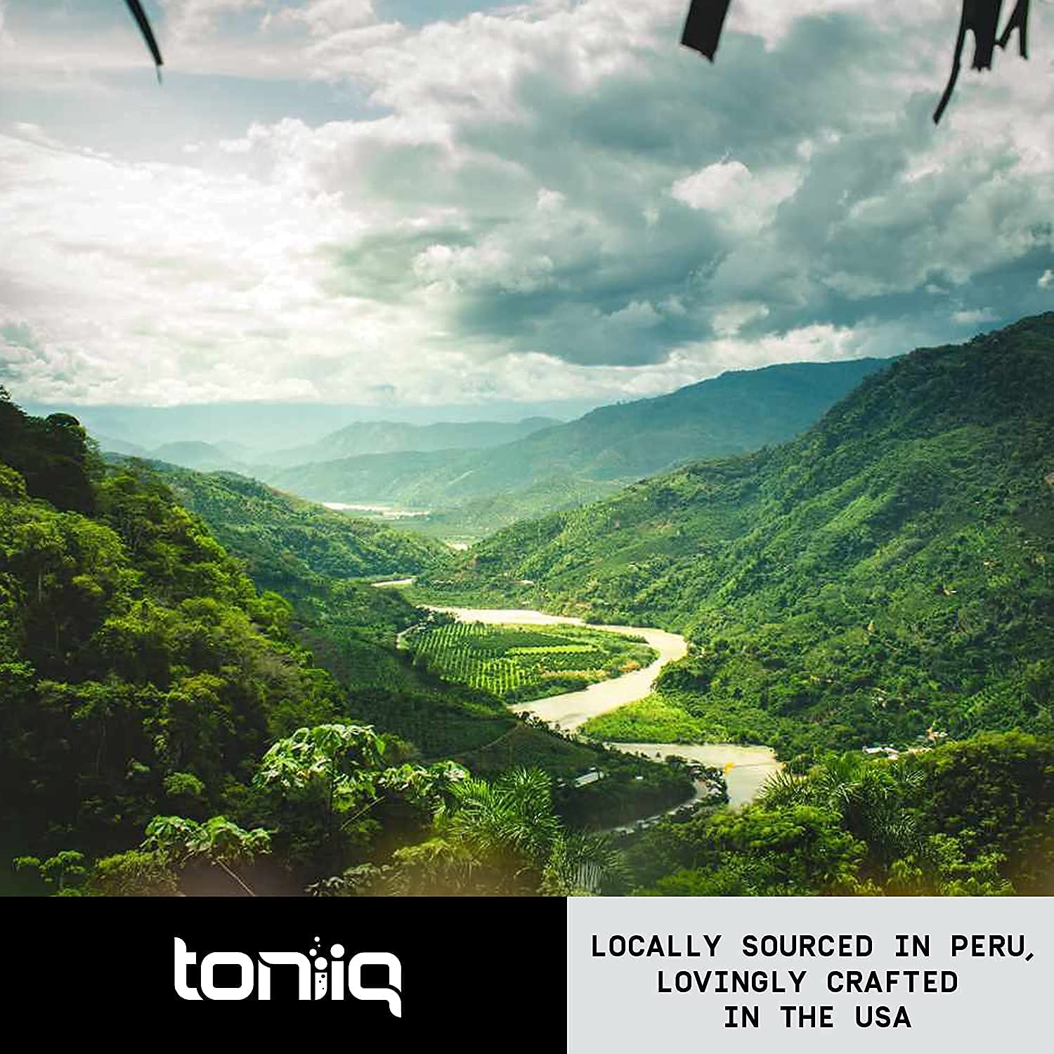 Toniiq 10,000mg 20x Concentrated Extract - Single Origin Wildcrafted Maca Root Capsules Toniiq