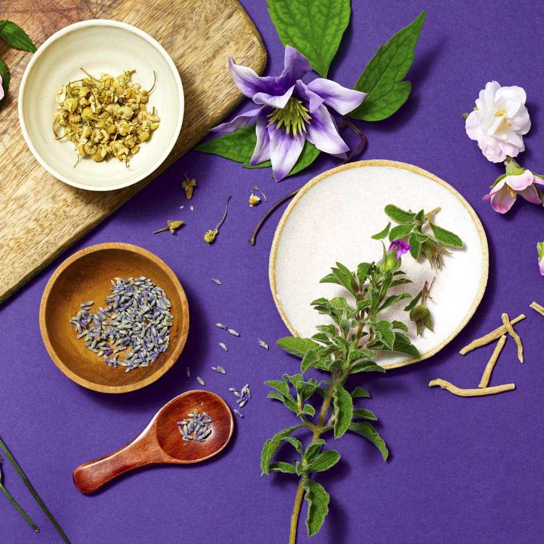 Bach RESCUE Plus Gummy Day & Night Bundle 2 x 60 Count RESCUE