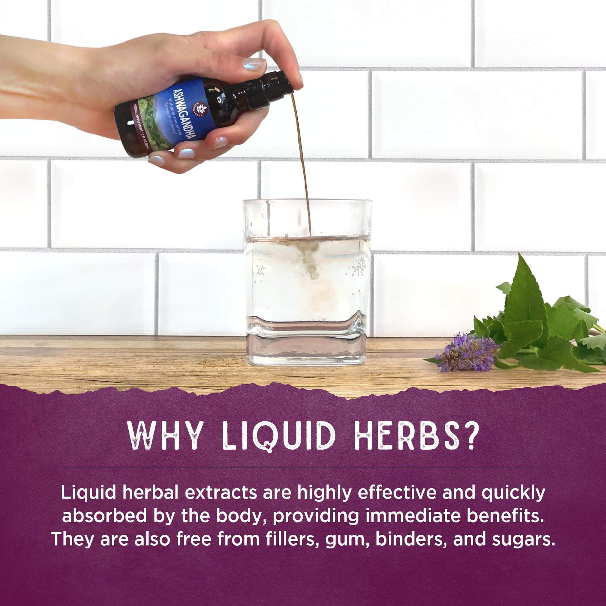 WishGarden Herbs Deep Lung & Bronchial Support - Natural Lung Support Supplement WishGarden