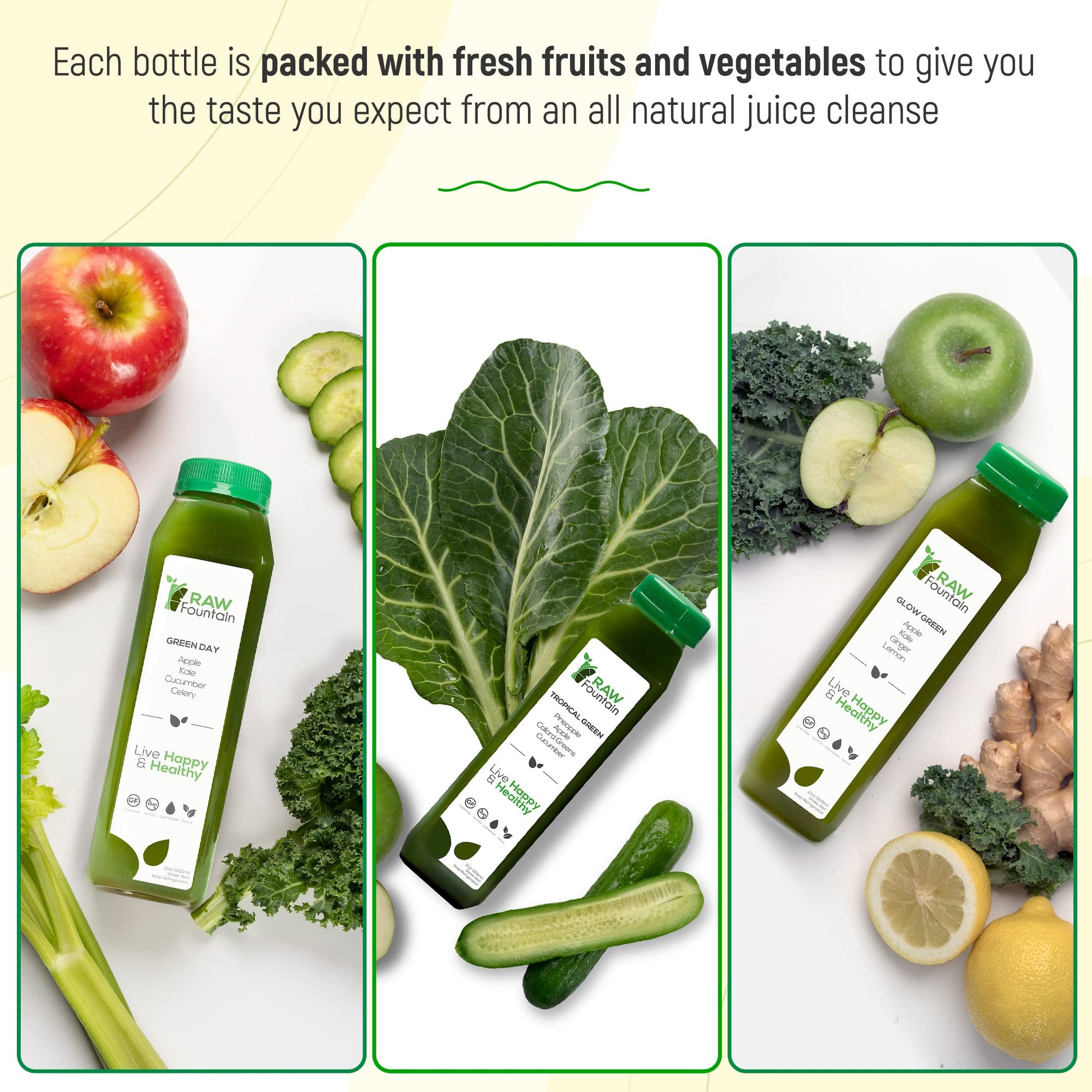 1 Day Green Juice Cleanse by Raw Fountain, All Natural Raw, Vegan Detox, Cold Pressed Raw Fountain