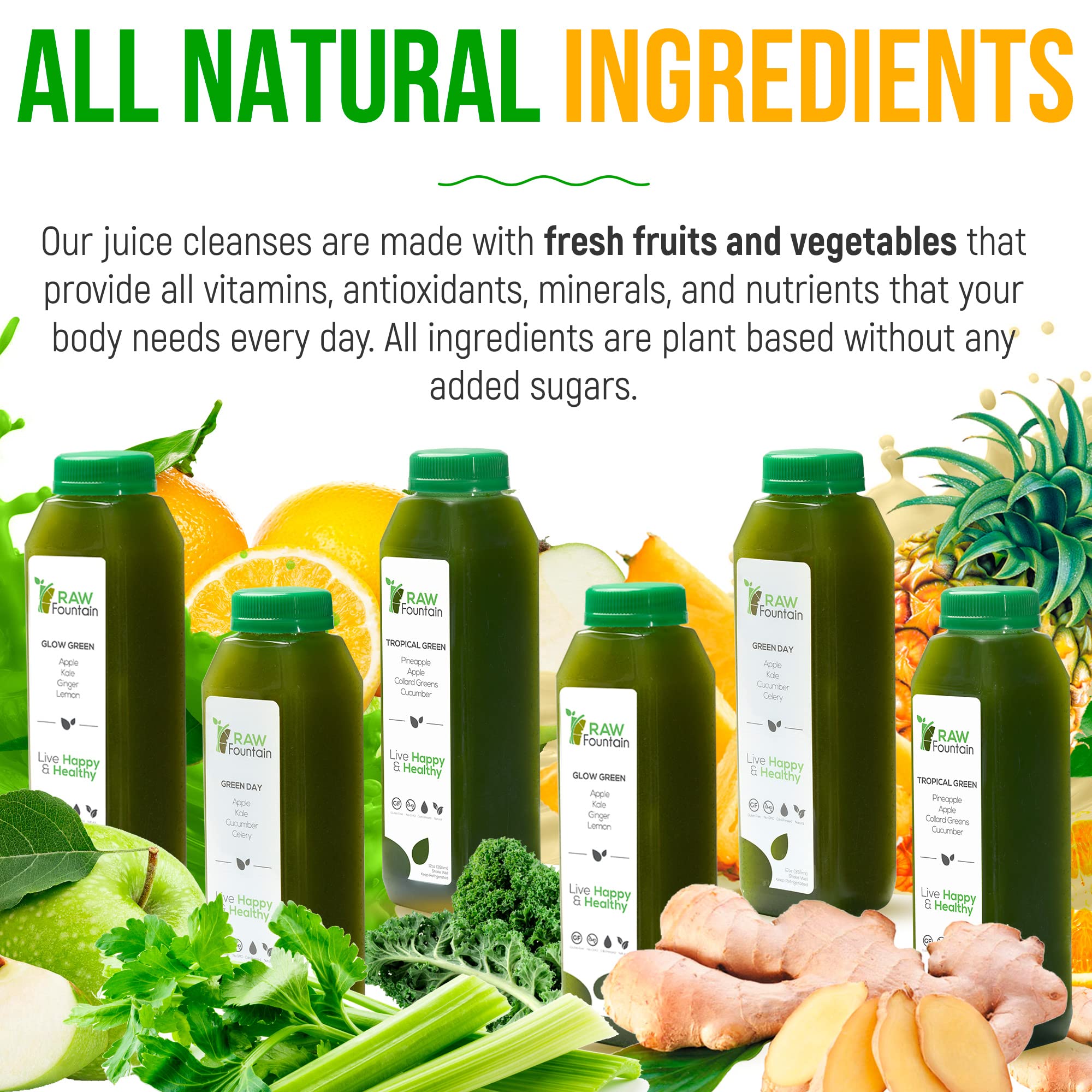 1 Day Green Juice Cleanse by Raw Fountain, All Natural Raw, Vegan Detox, Cold Pressed Raw Fountain