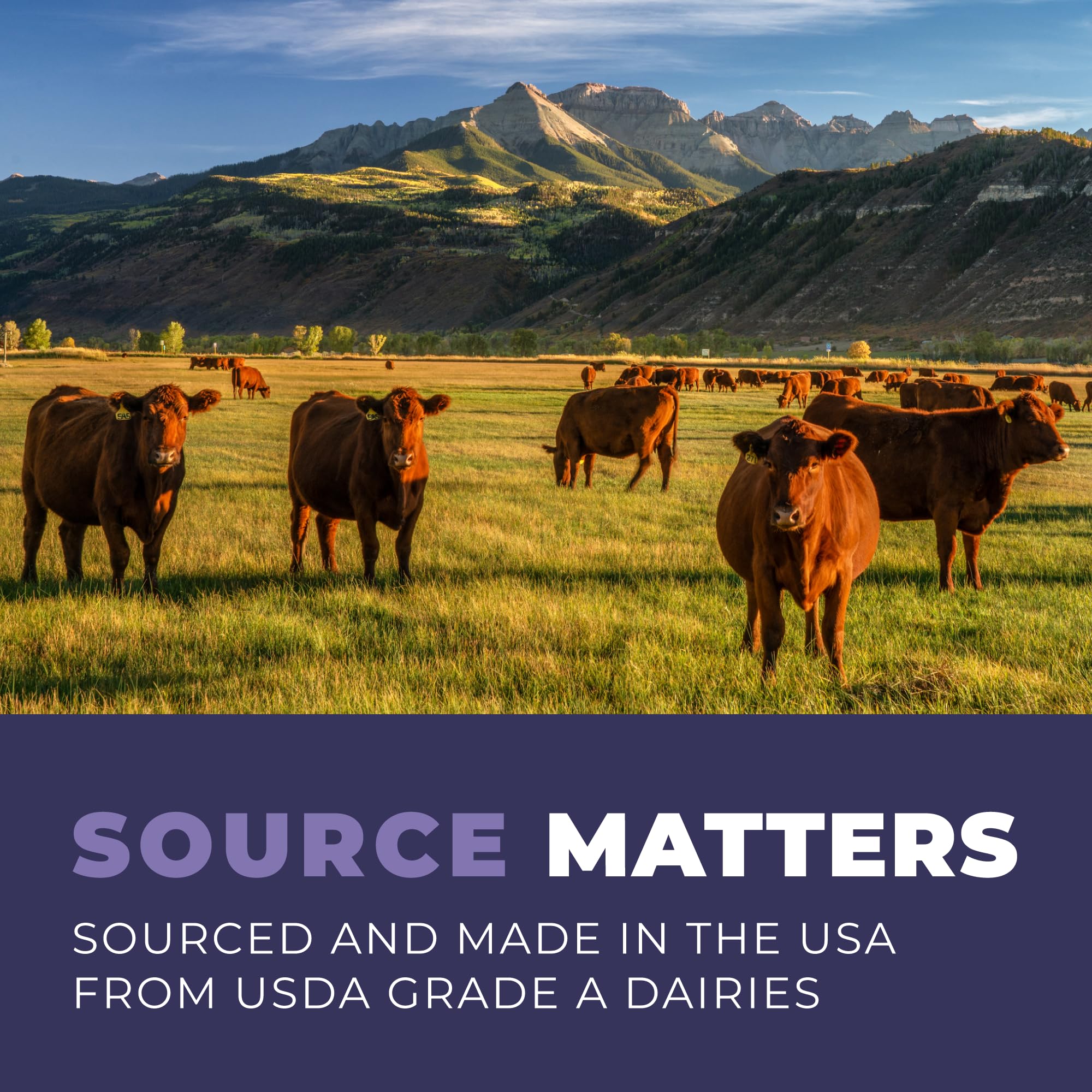 180ct Colostrum Capsules 40% IgG - USA Sourced Bovine Colostrum Powder Left Coast Performance