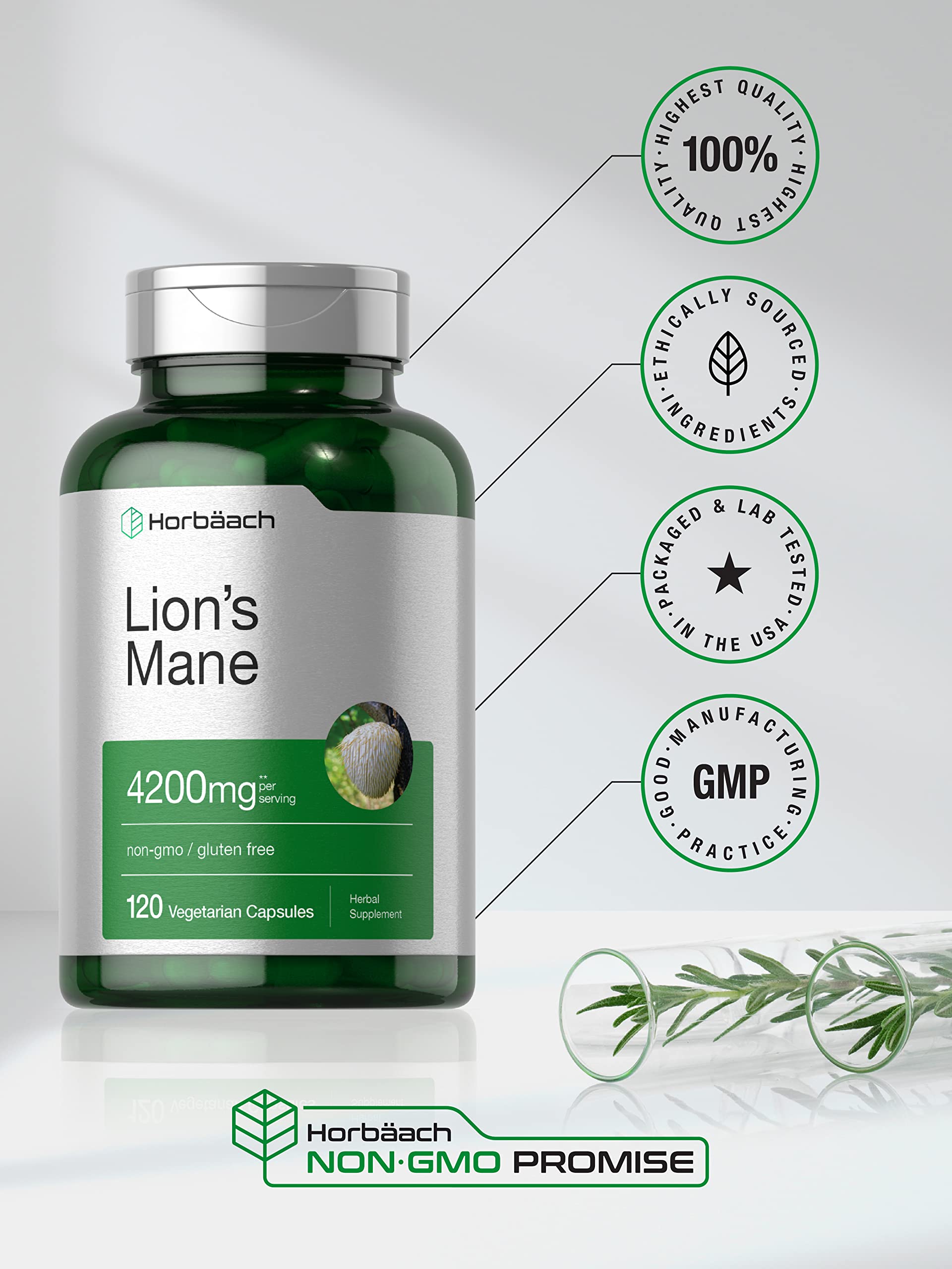 Horbäach Lions Mane Mushroom Extract | 4200mg | 120 Capsules | Vegetarian Horbäach