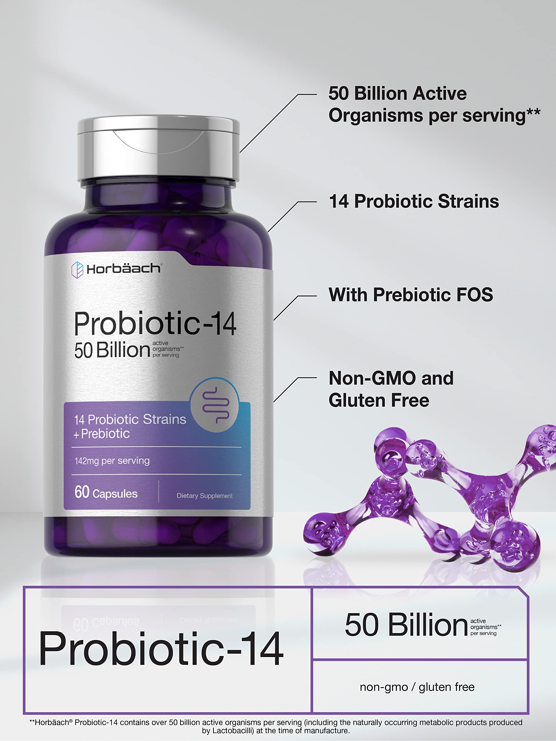 Horbäach Probiotics with Prebiotics | 60 Capsules | 50 Billion Active Organisms | Non-GMO Horbäach