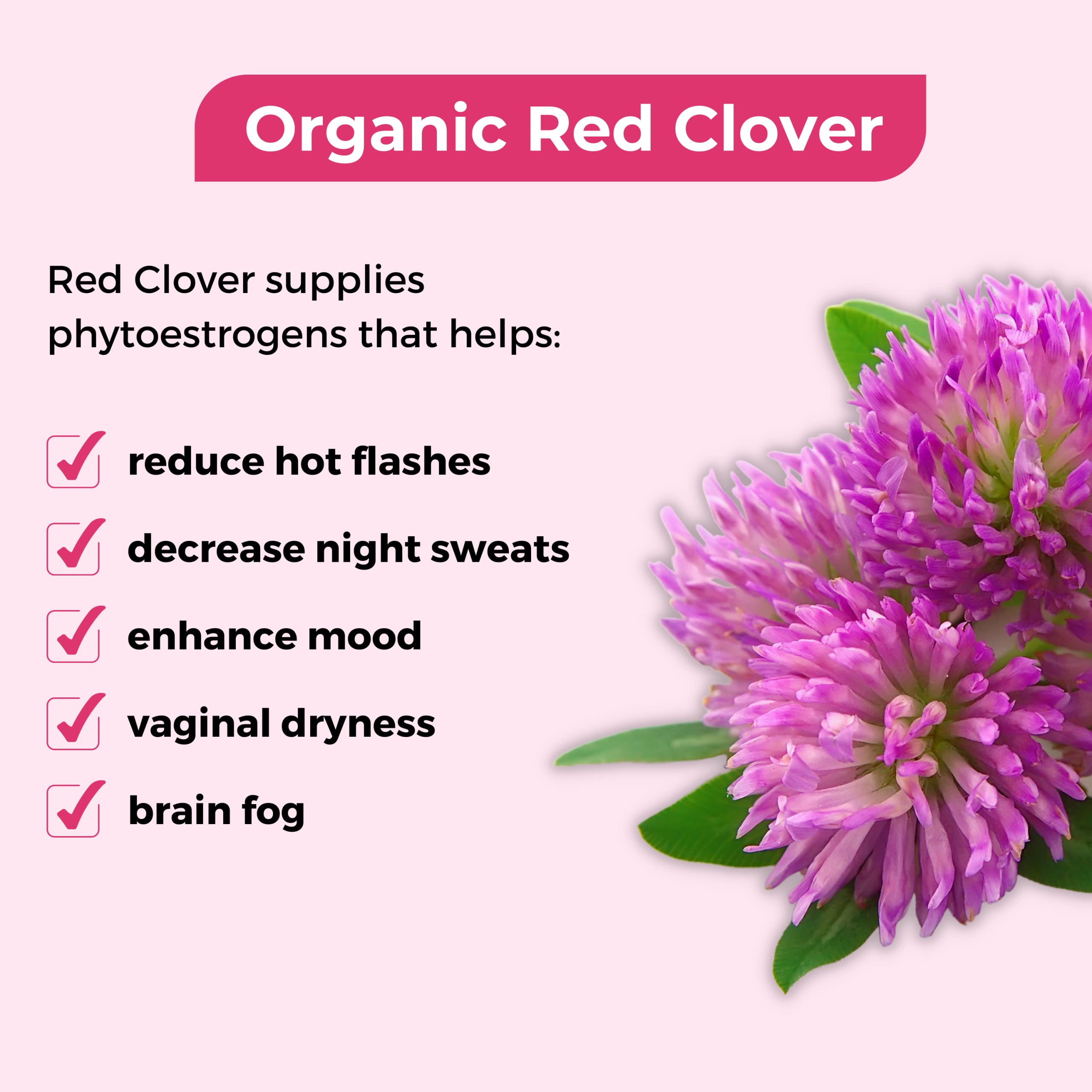 VoomVaya Menopause Support Tea - Natural Menopause Relief For Women VoomVaya