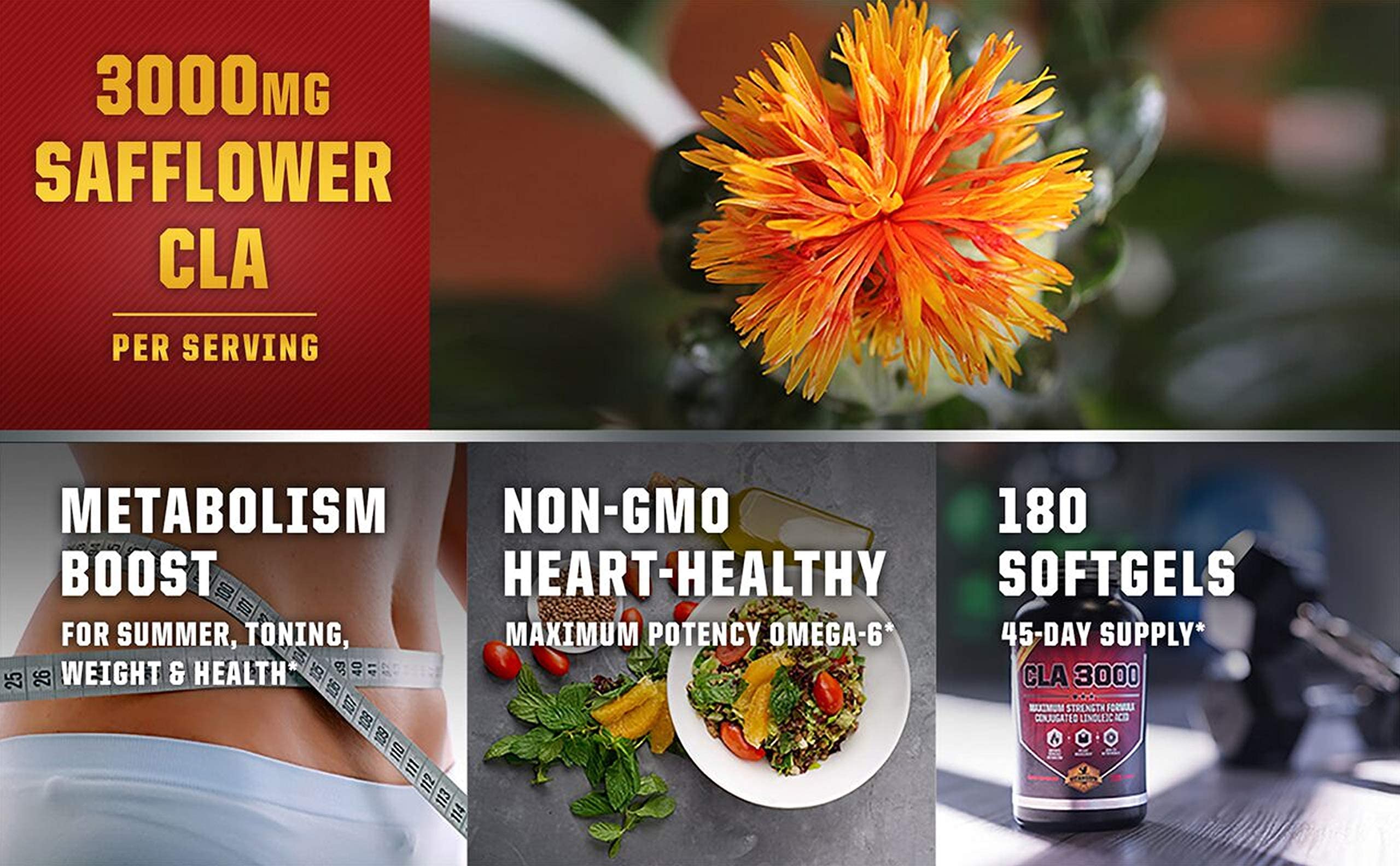 Vitamorph Labs CLA 3000 - CLA Safflower Oil for Metabolism and Weight Loss Management Vitamorph