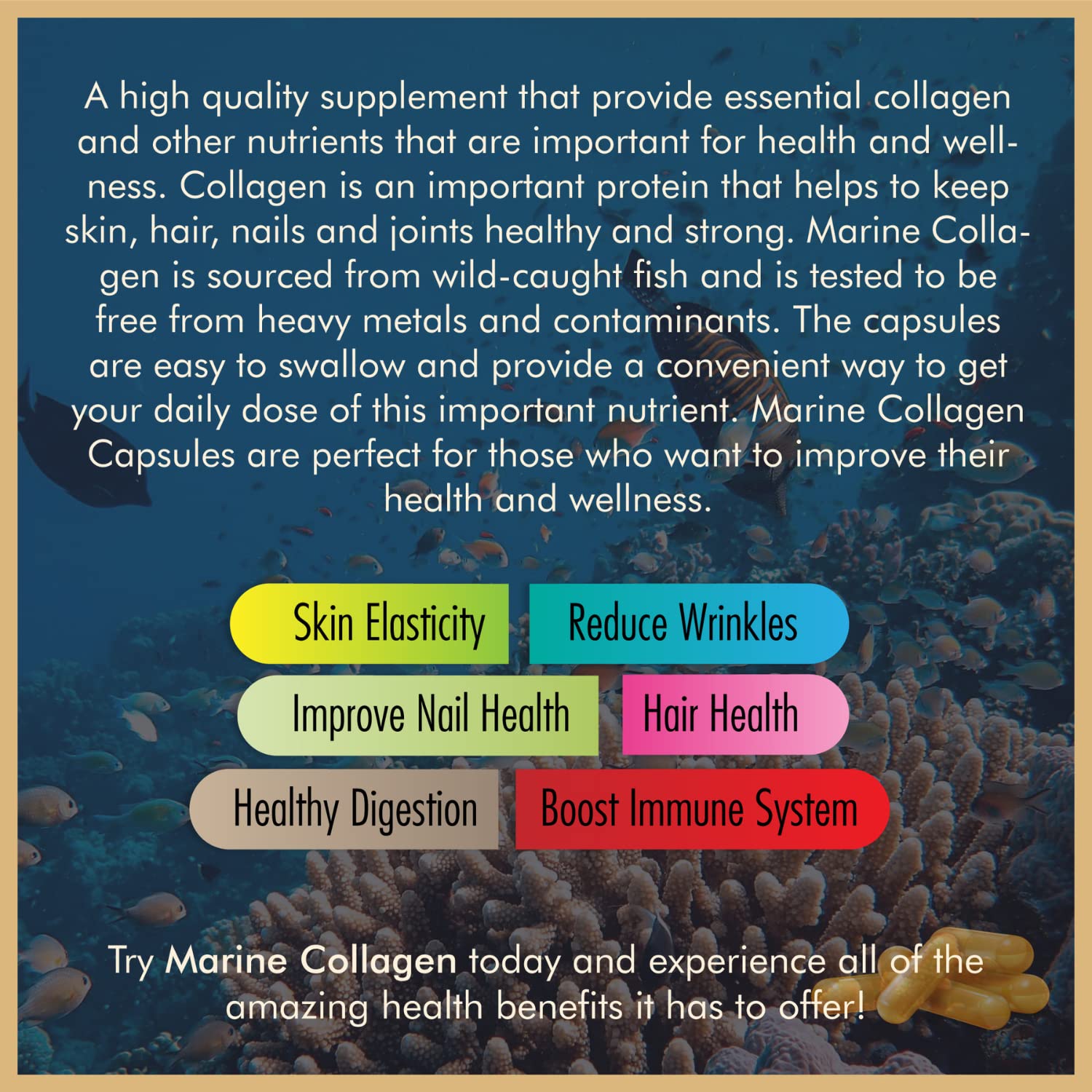 Vitalytes Marine Collagen Supplement 2400mg | 120 Marine Collagen Capsules Made in The UK Vitalytes