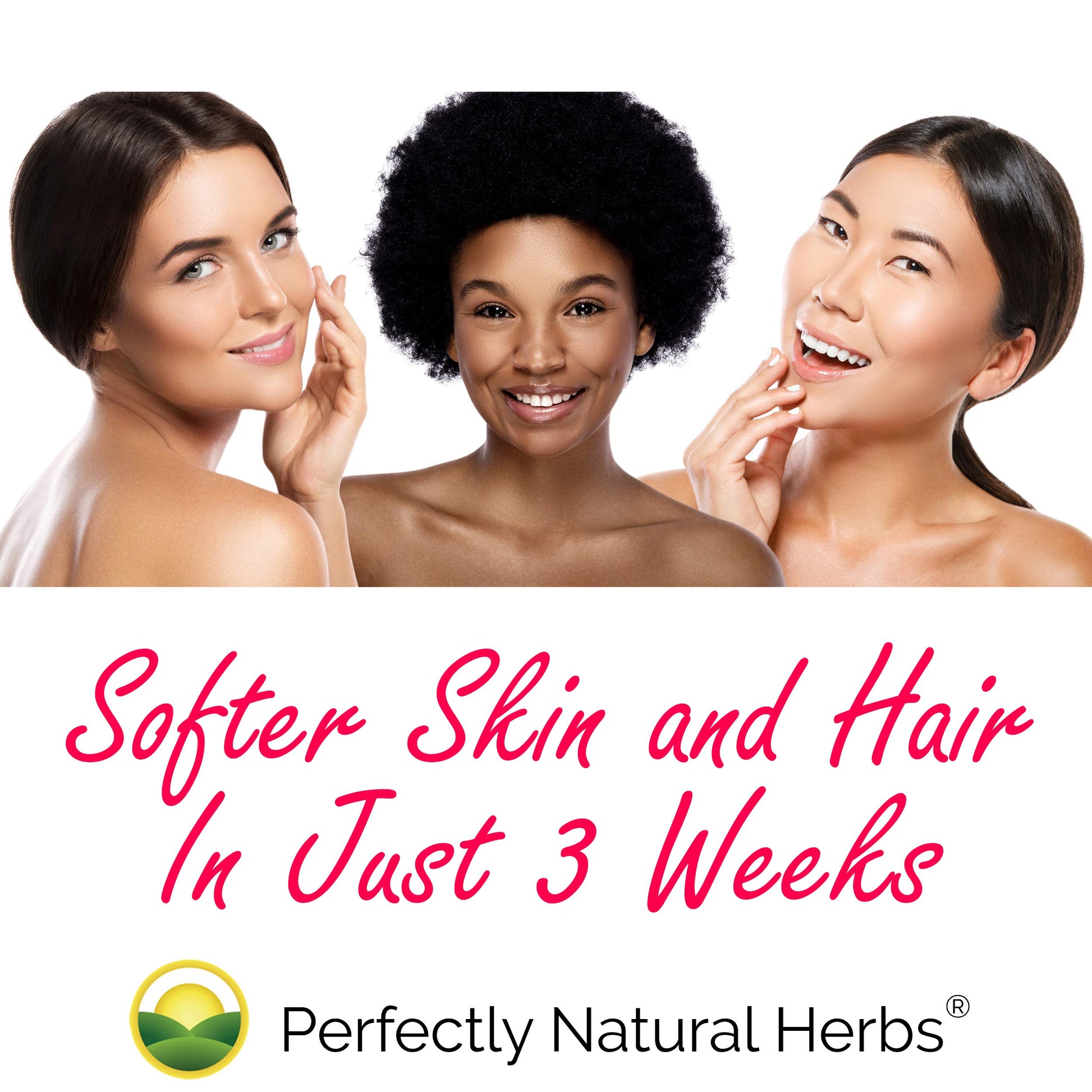 150 Moringa Capsules Made With USDA Certified Organic Moringa Leaf Powder Perfectly Natural Herbs