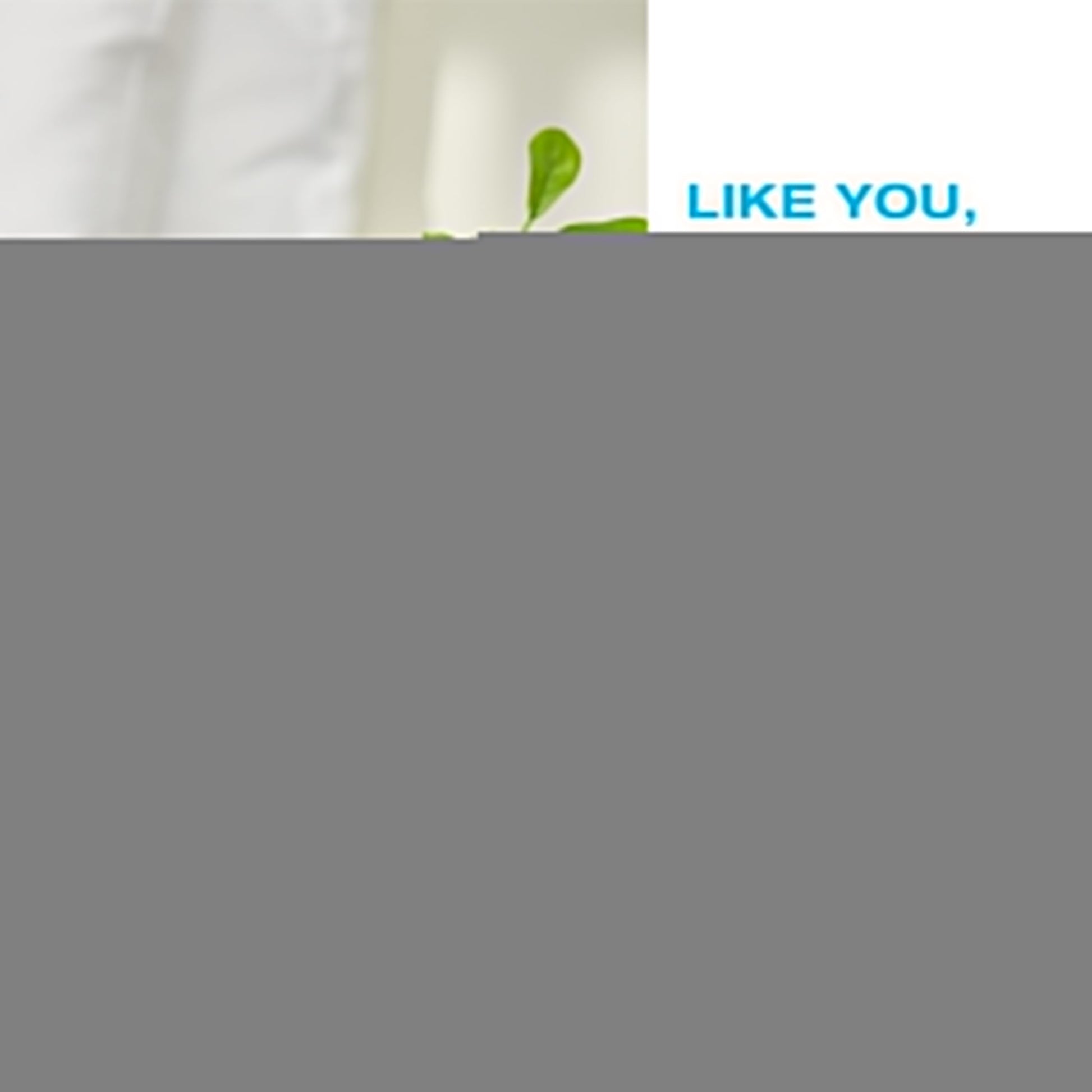 XYMOGEN MenoFem - Menopause Supplements for Women - Dandelion Root Extract, Dong Quai XYMOGEN