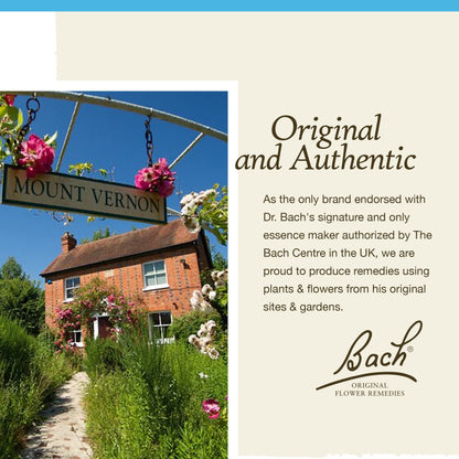 Bach Original Flower Remedies, Rock Water for Flexibility, Natural Homeopathic Flower Essence