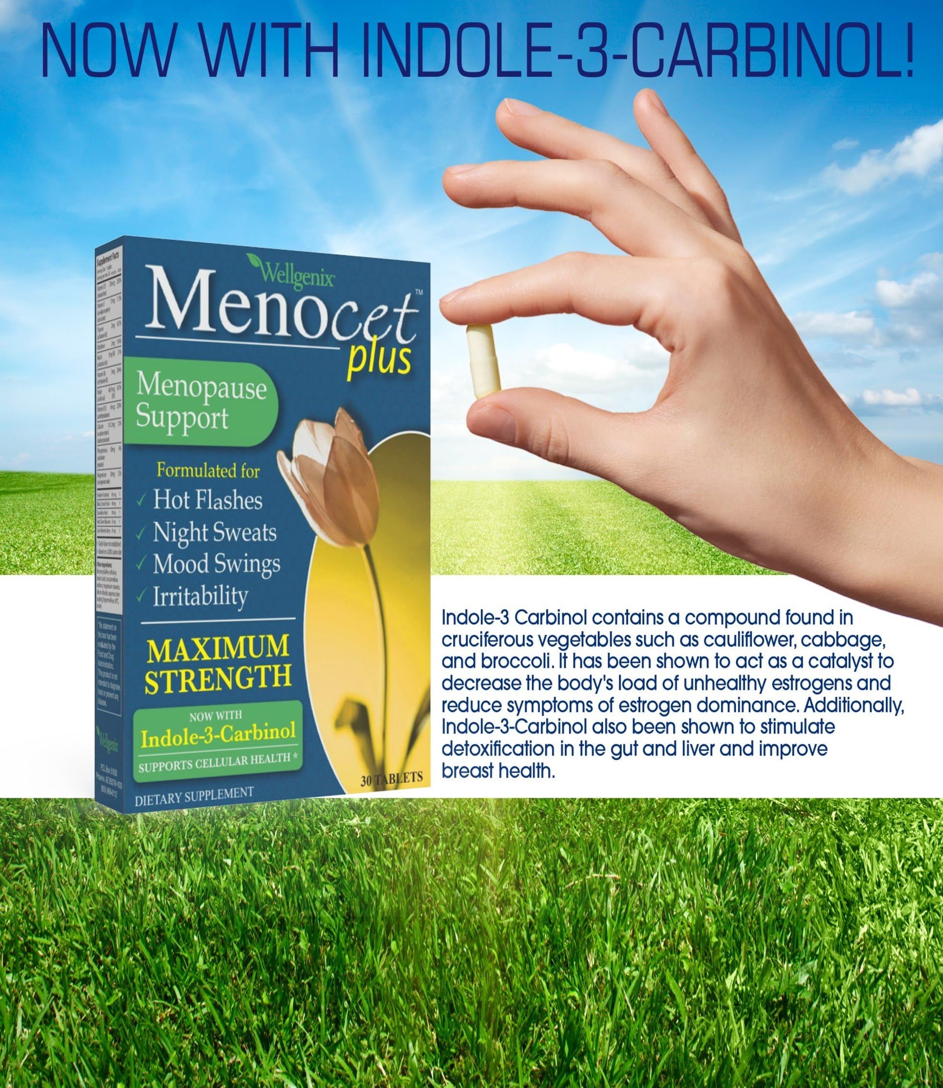 Wellgenix Menocet Plus Menopause Support - All-in-One Menopause Supplement - Daily Relief Feminine Wellgenix