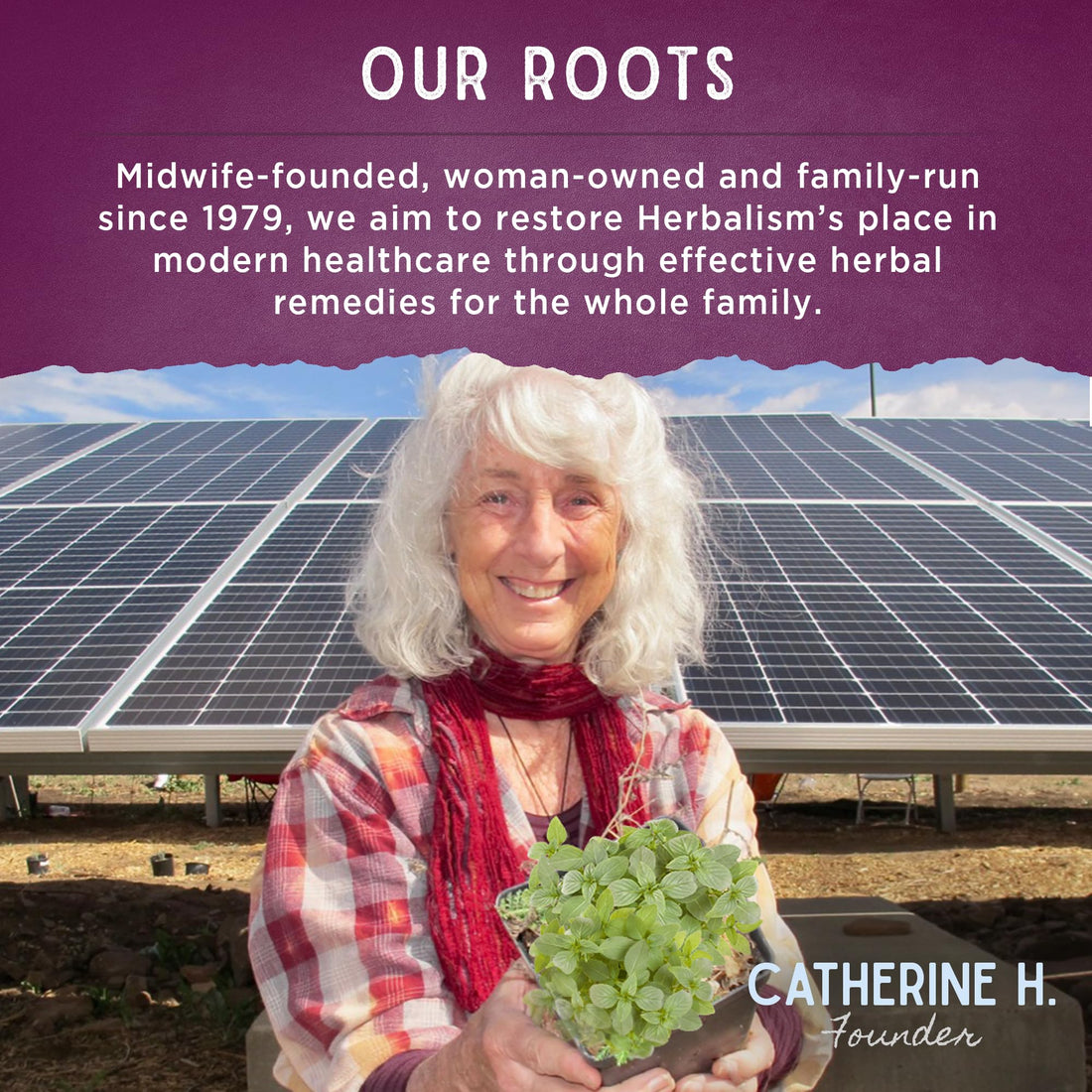 WishGarden Herbs Deep Lung & Bronchial Support - Natural Lung Support Supplement 