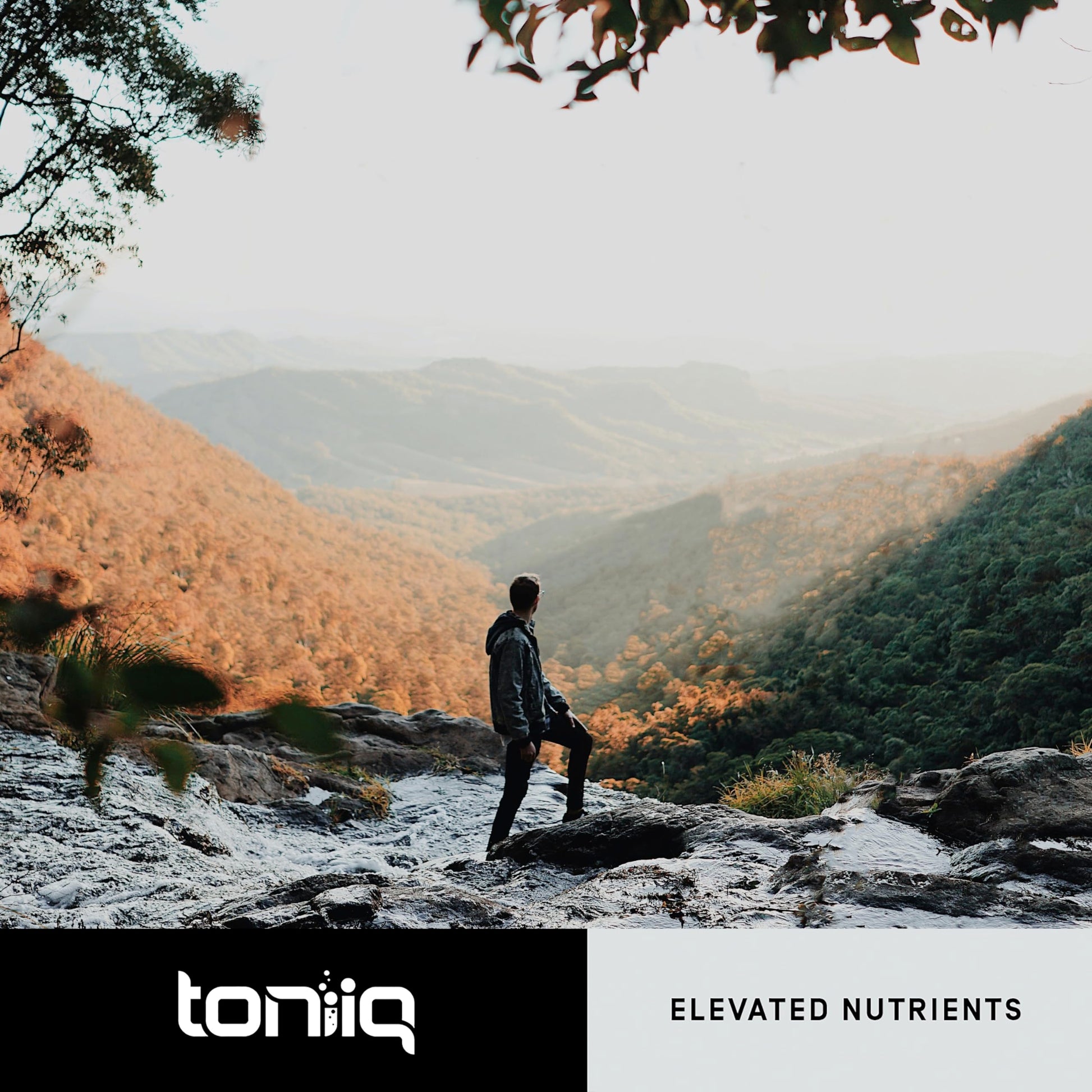 Toniiq 18,000mg 15x Concentrated Artichoke Extract Capsules - Ultra Concentrated Toniiq