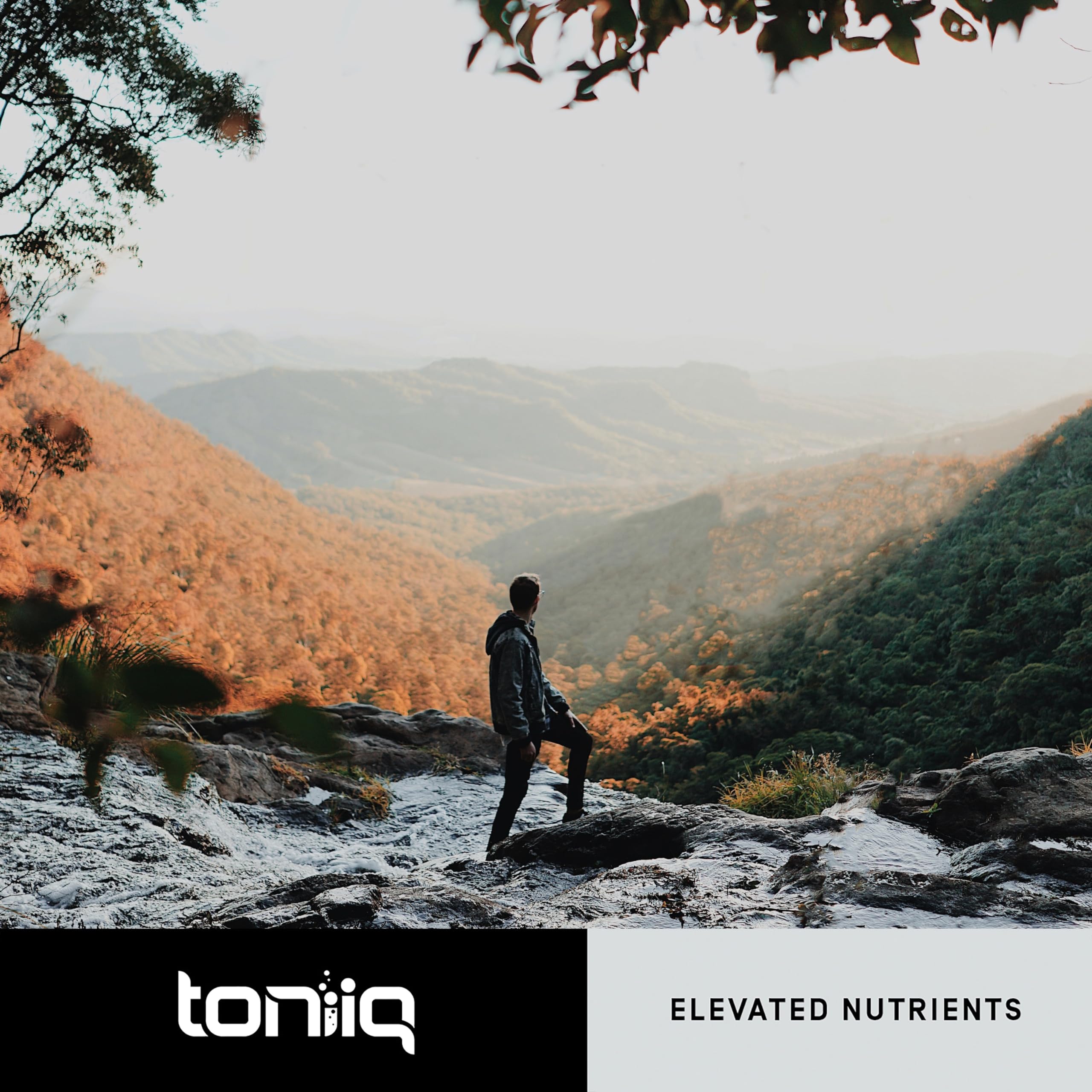 Toniiq 18,000mg 15x Concentrated Artichoke Extract Capsules - Ultra Concentrated Toniiq